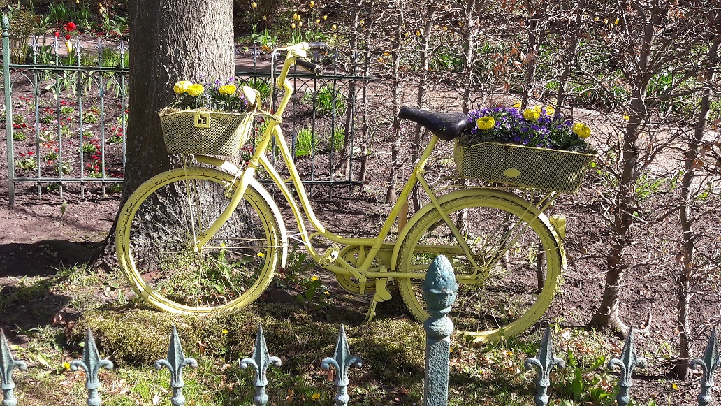 geschmücktes Fahrrad zum Tulpenfest, Thema Holland